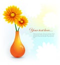 Colorful background with orange flowers