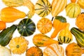 Colorful background of ornamental autumn gourds Royalty Free Stock Photo