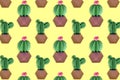 Colorful background of paper handcrafted cacti in flower pots