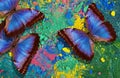 multicolored abstract background. Bright blue morpho butterflies on an abstract colorful bac Royalty Free Stock Photo