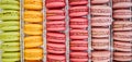 Colorful background of rows of french macaroons. Close up of macaroon cookies