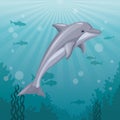 Colorful background sea landscape underwater marine life and mammal dolphin Royalty Free Stock Photo