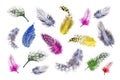 Colorful background of vivid brightly colored dyed soft fluffy bird feathers with the colors of the rainbow on a Royalty Free Stock Photo