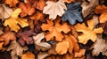 Colorful backround image of fallen autumn leaves perfect for seasonal use