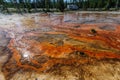 Colorful Bacteria Mats Geyser in Yellowstone