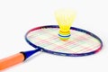 Colorful Badminton Racket and Shuttlecock