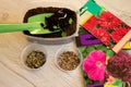 Colorful bags of seeds and scattering in jars,on the shoulder blade of a young green plant