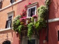 Colorful balcony with flowers in Rome