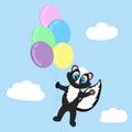 Colorful ballons in sky and flying cute animal skunk. Vector illustration for children.