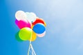 Colorful balloons Royalty Free Stock Photo