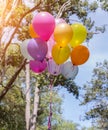 Colorful balloons on the blue sky Royalty Free Stock Photo