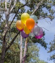 Colorful balloons on the blue sky