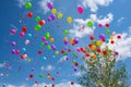 Colorful Balloons Released in Blue Sky