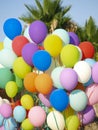 Colorful balloons in summer Royalty Free Stock Photo