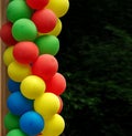 Colorful balloons - a symbol of celebration of the joys