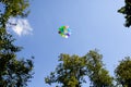 Colorful balloons in blue sky near green tree Royalty Free Stock Photo