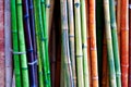 Colorful bamboo