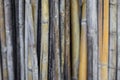 Colorful of Bamboo pile  texture background Royalty Free Stock Photo