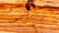 Colorful Banded Sandstone Rocks in the Valley of Fire State Park