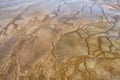 Colorful bands of thermophilic bacteria in Yellowstone National Park