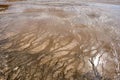 Colorful bands of thermophilic bacteria in Yellowstone National Park