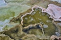 Colorful bands of thermophilic bacteria in Yellowstone National Park