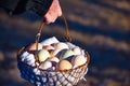 Carrying Eggs in a basket