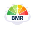 Colorful Basal Metabolic Rate BMR Indicator Gauge Vector Illustration with Distinct Zones