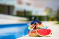 Colorful beach bag and tasty red watermelon at Royalty Free Stock Photo