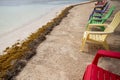 Colorful beach chairs Royalty Free Stock Photo