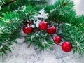 Colorful beautiful branch with ripe red berries and spruce covered with snow. Royalty Free Stock Photo