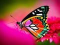 Colorful beautiful butterfly on a flower, close-up. Created with generative AI Royalty Free Stock Photo