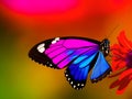 Colorful beautiful butterfly on a flower, close-up. Created with generative AI Royalty Free Stock Photo