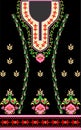 Colorful and beautiful ladies traditional garment front panel , computer generated design