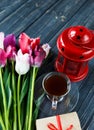 Colorful beautiful pink violet tulips and red lantern on gray wooden background. Valentines, spring background. Royalty Free Stock Photo