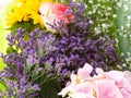 Colorful beautiful spring bouquet closeup. Roses, sunflower, purple flowers