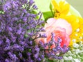 Colorful beautiful spring bouquet closeup. Roses, sunflower, purple flowers