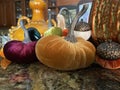 Colorful, Beautiful And Unique Fall Pumpkins And Decor