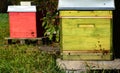 Colorful bee boxes stand on a meadow in autumn on a sunny day and the bees fly around the boxes Royalty Free Stock Photo