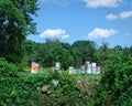 Colorful bee hive boxes in field