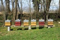Colorful bee hives