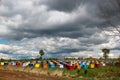 Colorful bee hives in a countryside Royalty Free Stock Photo
