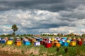 Colorful bee hives in a countryside Royalty Free Stock Photo