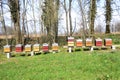 Colorful bee hives