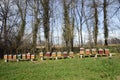 Colorful bee hives