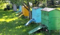 Colorful bee hives Royalty Free Stock Photo