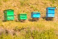 bee houses on a small apiary in a clearing with grass. Beekeeping concept