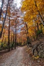 Colorful beech fall forest in Ordesa and Monte Perdido NP, Pyrenees, Aragon in Spain Royalty Free Stock Photo