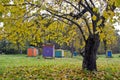 Colorful beehive in autumn time garden
