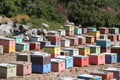 Colorful Beehive Boxes